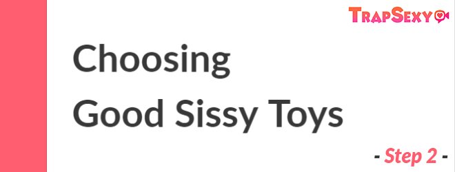 Choosing Good Sissy Toys